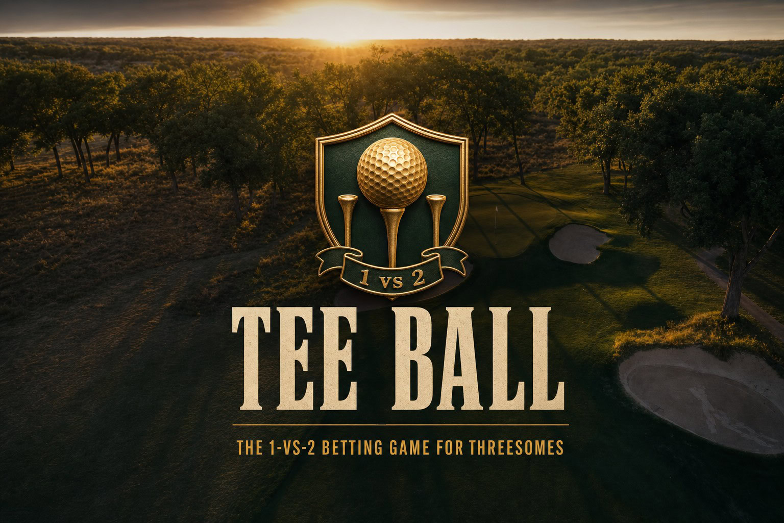 Tee Ball golf game cover with a gold ball-on-tee crest and 1 vs 2 banner over a golden-hour links green